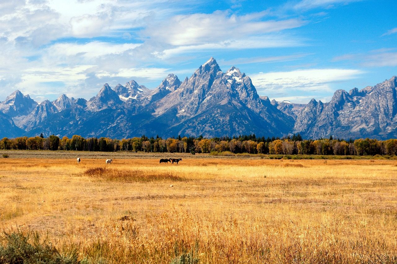 JET CHARTER TO JACKSON HOLE, WY