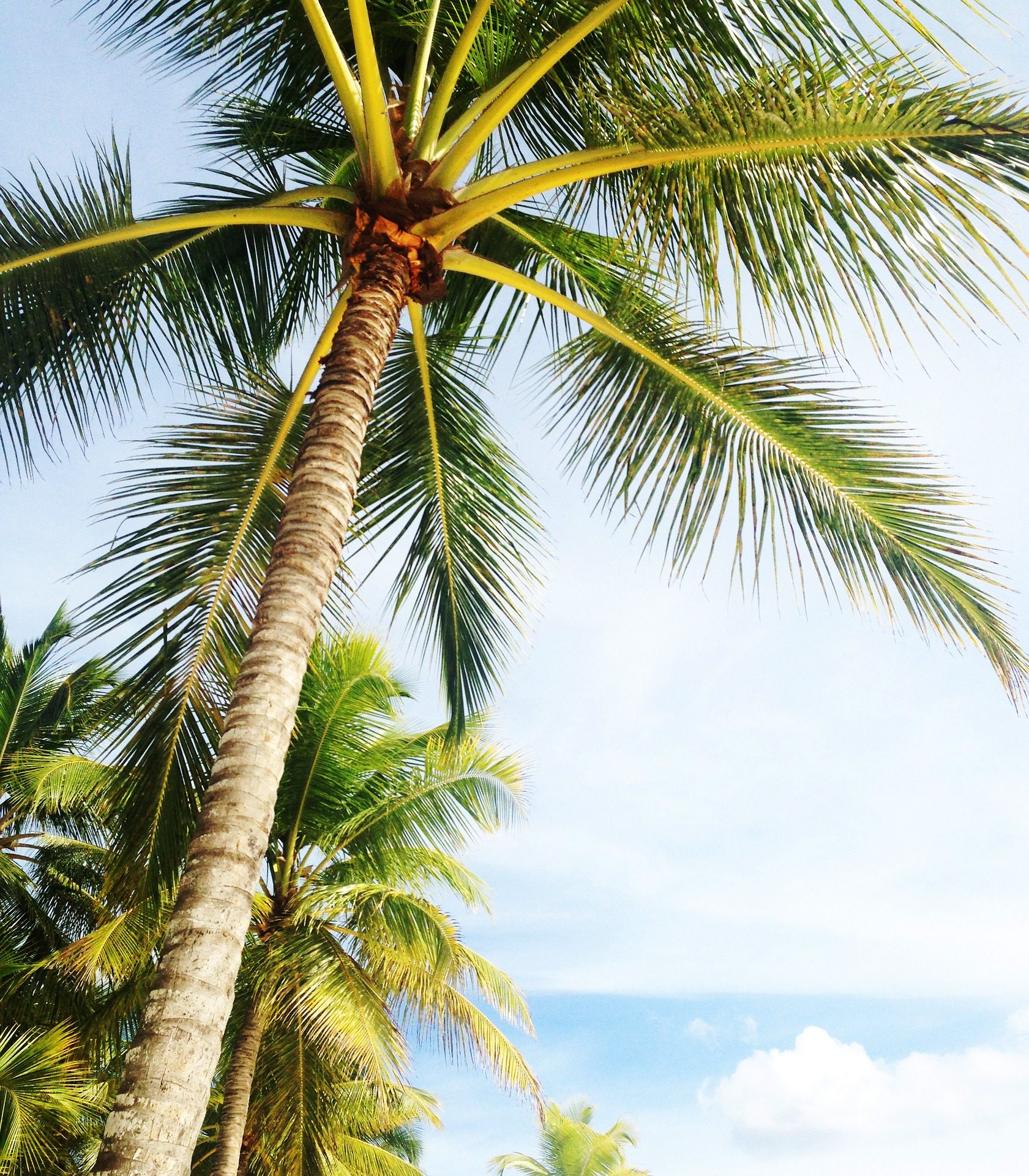 NEW YEAR'S EVE JET CHARTERS: MIAMI